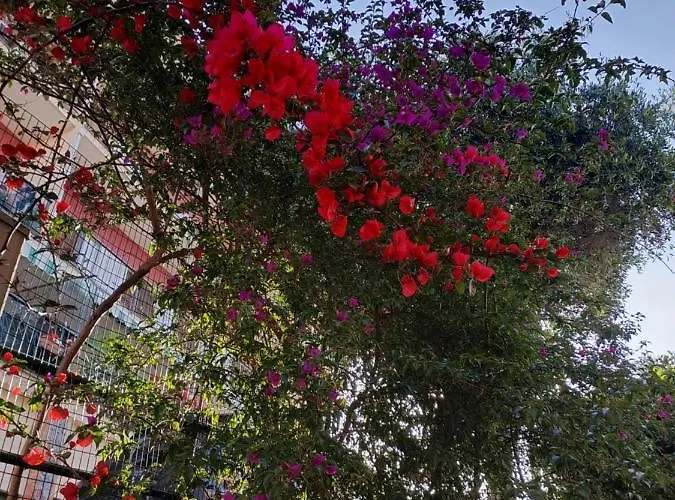 Apartment Profumo Di Limone Con Giardino