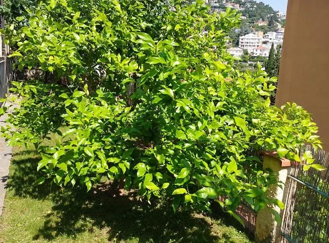 Apartment Profumo Di Limone Con Giardino *