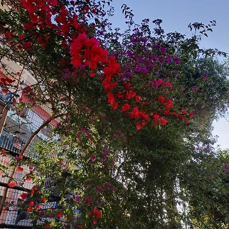 Appartamento Profumo Di Limone Con Giardino