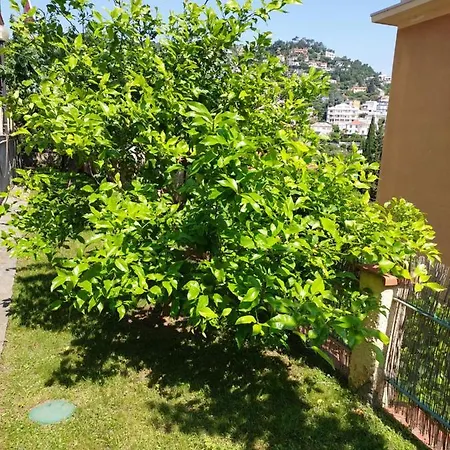 Appartamento Profumo Di Limone Con Giardino *