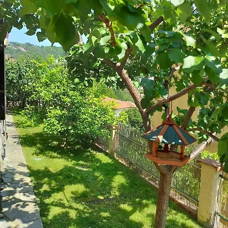 Appartamento Profumo Di Limone Con Giardino *